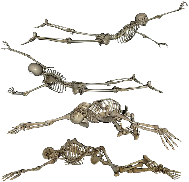 Skeleton Laying Crawling Free Image On Pixabay Crawling Skeleton Png Skeleton Png Transparent