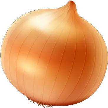 Single Onion Free Png Image Arts Sphere Onion Onion Png