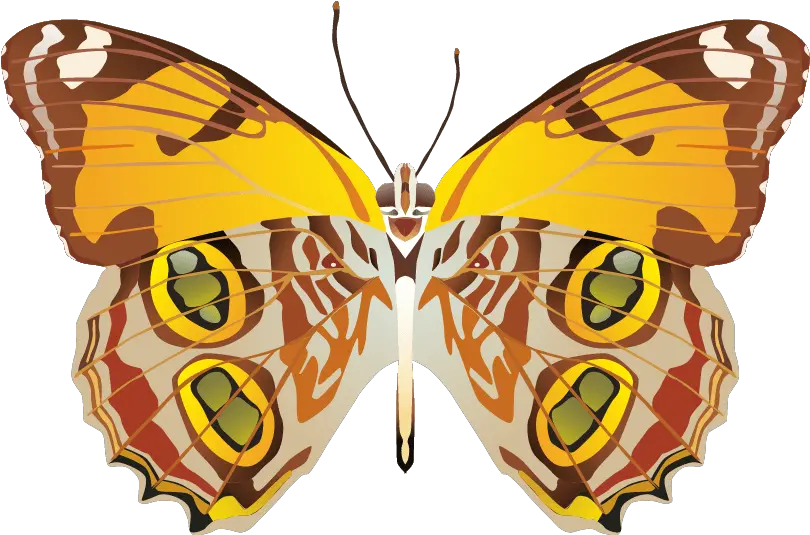 Butterfly Png Images Download Vector Portable Network Graphics Yellow Butterfly Png