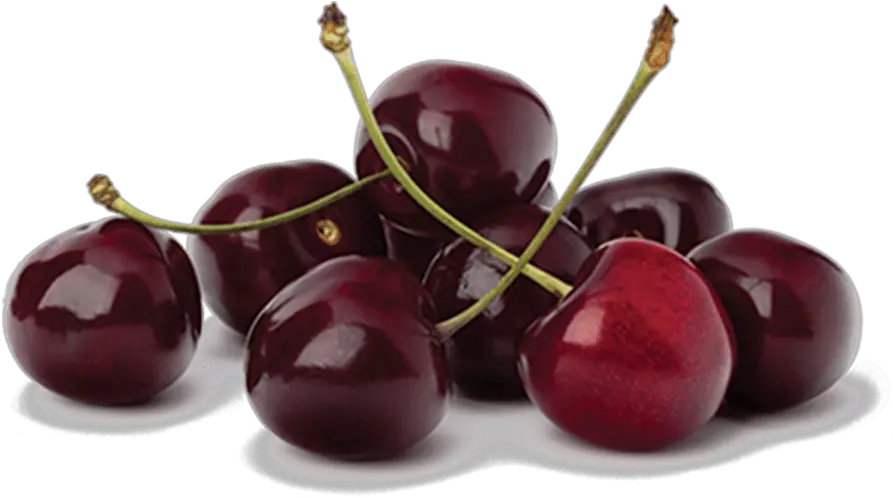 Cherries Bravograpes Sa Cherry Png Cherries Png