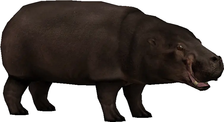 Pygmy Hippopotamus Pygmy Hippopotamus Png Zoo Tycoon 2 Icon