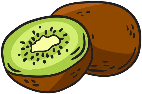 Kiwifruit Hand Drawn Transparent Png U0026 Svg Vector File Clip Art Kiwi Transparent