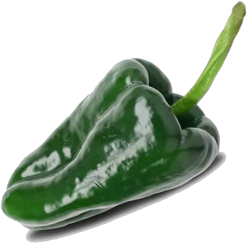 Hot Green Poblano Pepper Poblano Chili Full Size Png Poblano Pepper Png Chili Png