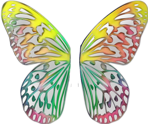 Butterfly Wings Butterflywings Monarch Wings For Picsart Butterfly Png Butterfly Wings Png