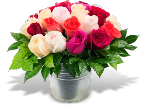 Download My Flower Pot Love Flower Pot Png Flower Pot Png