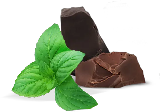 Peppermint Png Images Free Download Mint Mint Leaves And Chocolate Mint Leaf Png