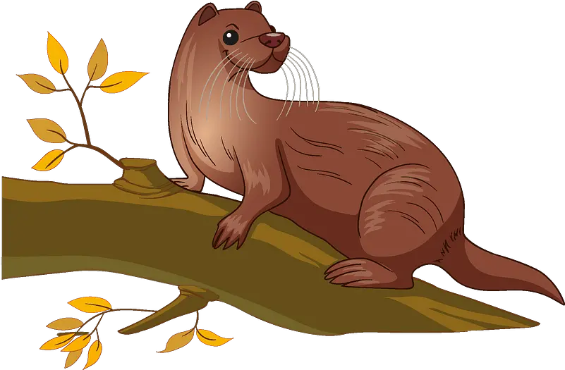 Otter Clipart North American River Otter Png Otter Png