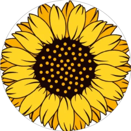 Sunflower Finance Social Activity In Telegram Twitter Polish Pottery Pumpkin Plate Png Sunshine Icon For Twitter