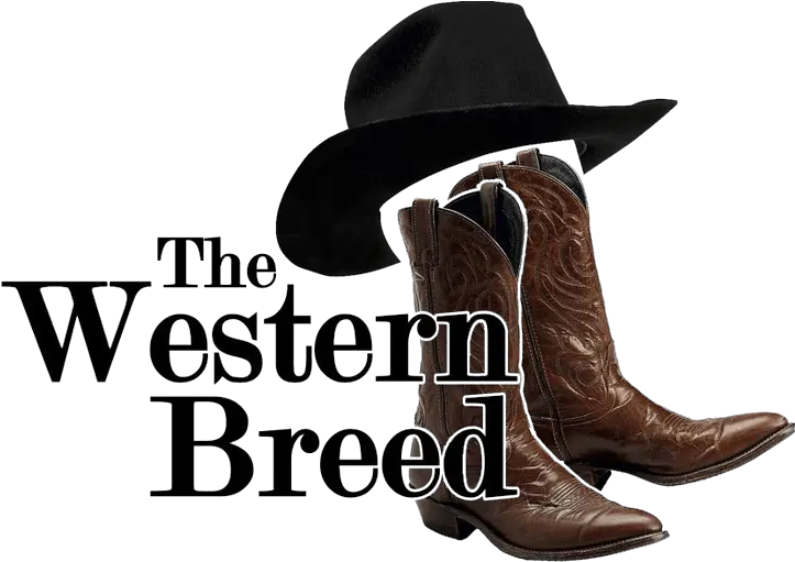 Western Apparel Galesburg Mi The Breed Durango Boot Png Cowboy Transparent