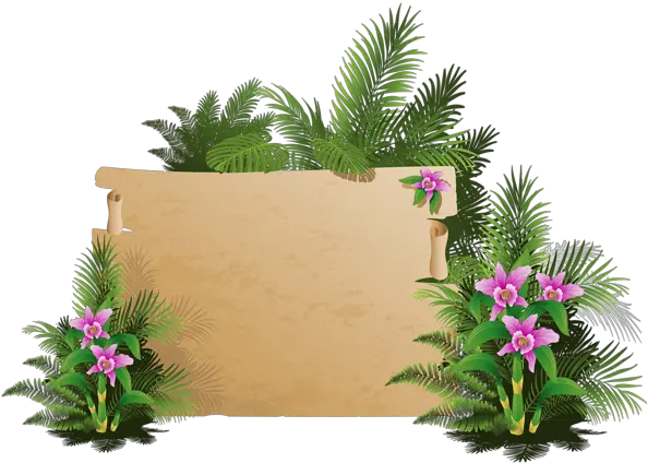Summer Exotic Board Png Clipart Exotic Board Png Board Png