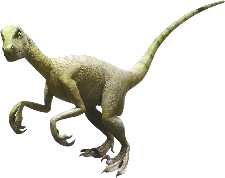 Dinosaur Clipart And Jokes Velociraptor Real Dinosaur Clipart Png Dinosaur Png