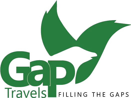 Gap Travel Safaris U2014 Gorilla Tours U0026 Family Wildlife Graphic Design Png Gorilla Logo