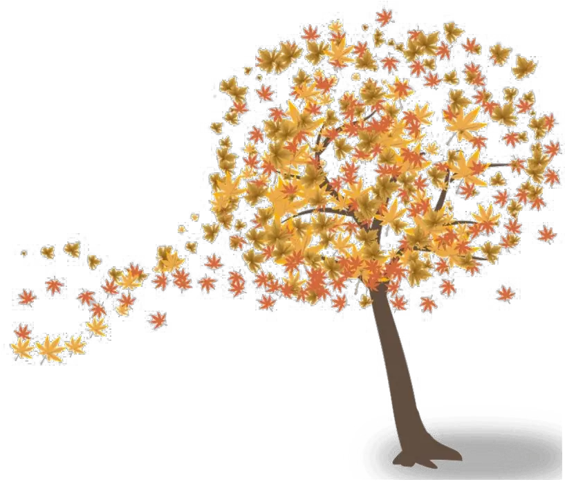 Fall Tree Transparent Png Mart Transparent Fall Tree Fall Png