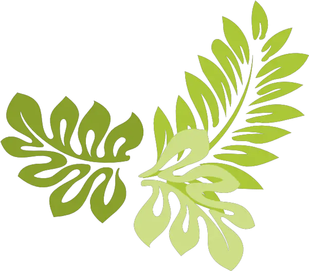 Fern Clipart Compound Leaf Transparent Transparent Jungle Leaves Clipart Png Fern Png