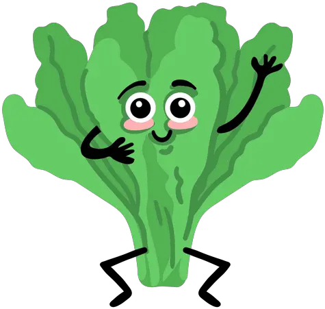 Salad Lettuce Flat Transparent Png U0026 Svg Vector File Vegetable Salad Cartoon Png Salad Png