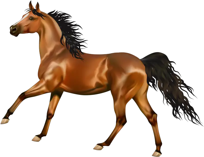 Horse Clipart Png Image Free Download Cavalo Png Horse Clipart Png