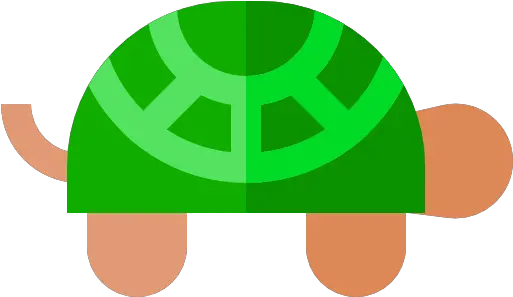 Free Icon Turtle Box Turtles Png Turtle Icon Png