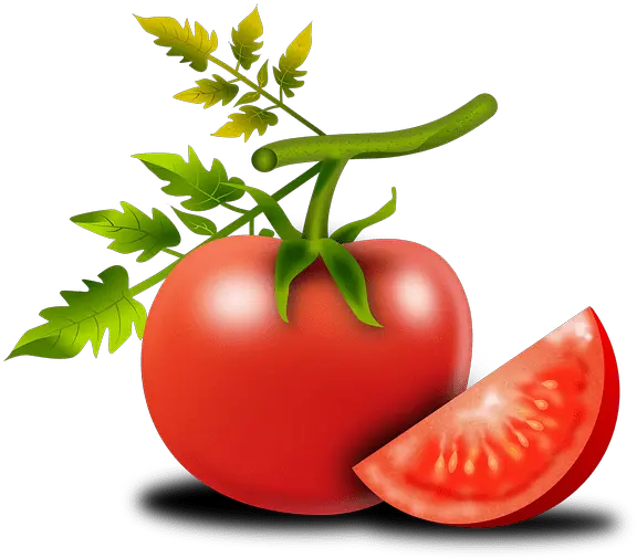 Growing The Ace 55 Tomato Determinate From Seed To Harvest Png Icon