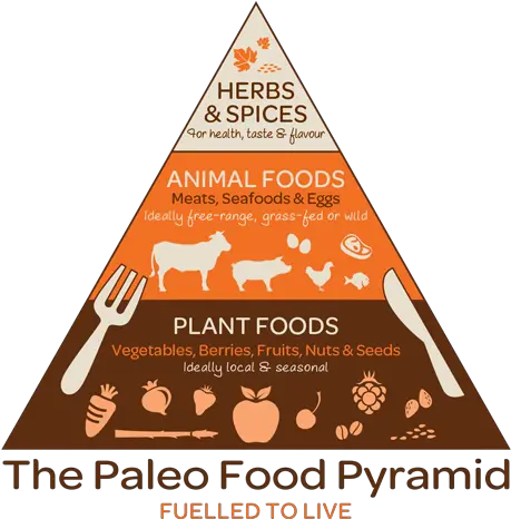 Healthy Fast Food East Paleo Snacks Instead Diet Eats Hunter Gatherer Food Pyramid Png Food Pyramid Png