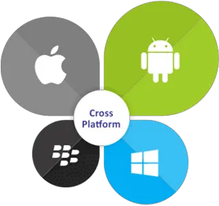 Mobile App Development In Florida Cross Platform App Development Icon Png App Developer Icon