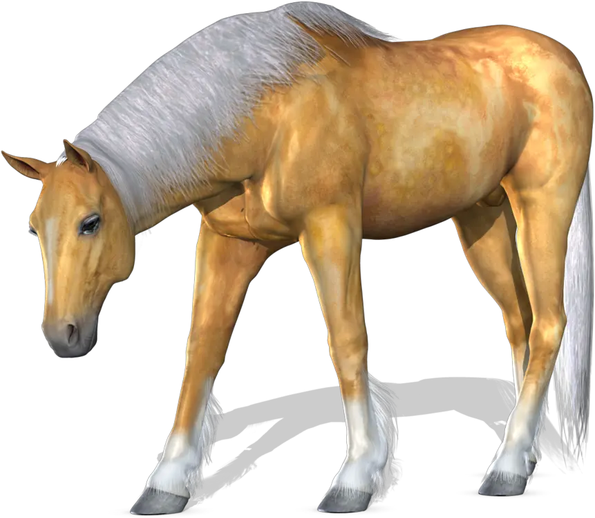 Horse Png Image 3d Horse Png Horse Transparent Background