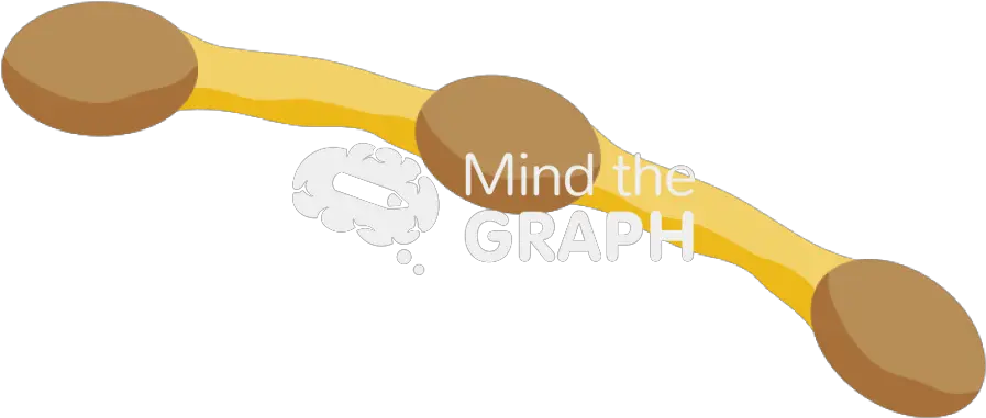 Corynebacterium Diphtheriae 3 Mind The Graph Dot Png Wooden Spoon Icon