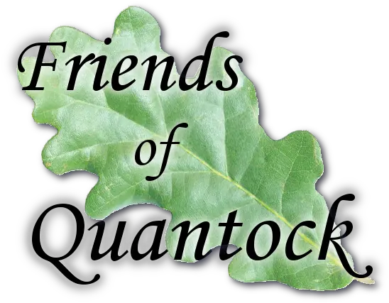 Friends Of Quantock Logo Natural Foods Png Friends Logo Png