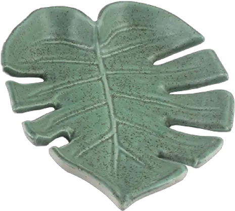 Download Ceramic Plate Monstera Leaf Maple Leaf Png Monstera Leaf Png