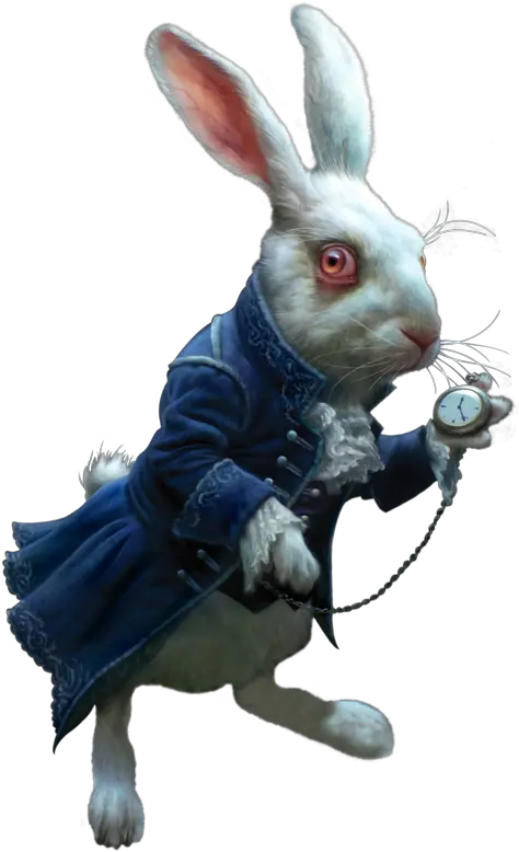 Alice N Wonderland Rabbit Png U0026 Free White Rabbit Alice In Wonderland Alice In Wonderland Png