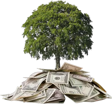 Download Hd Money Marriage And Money Png Money Tree Png