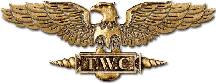 Skins Solid Png Total War Warhammer Icon