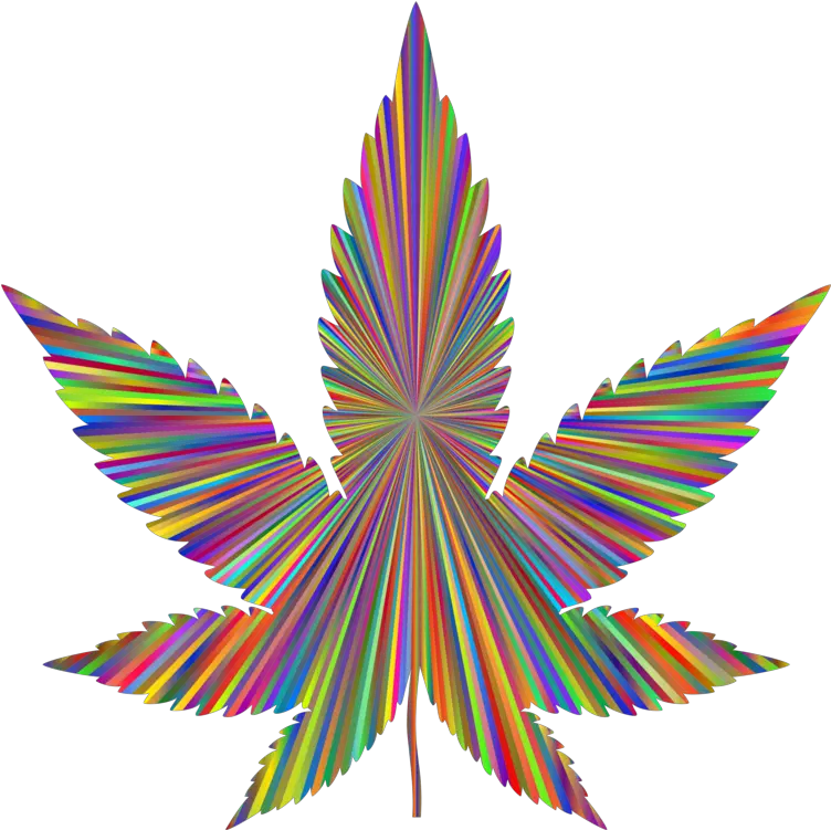 Graphic Design Plant Leaf Png Clipart Free Vectorized Marijuana Leafs Blunt Png