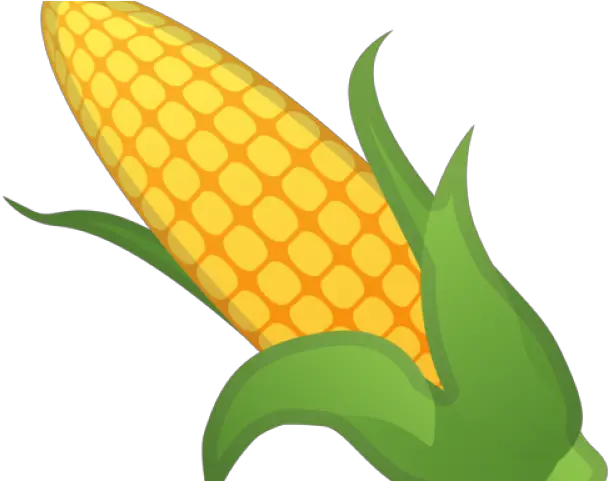 Emoji Maiz Png Ear Of Corn Cartoon Corn Clipart Png
