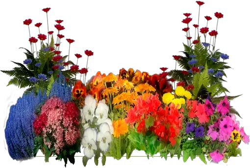 Interesting Plants With Flowers Png Garden Flowers Png