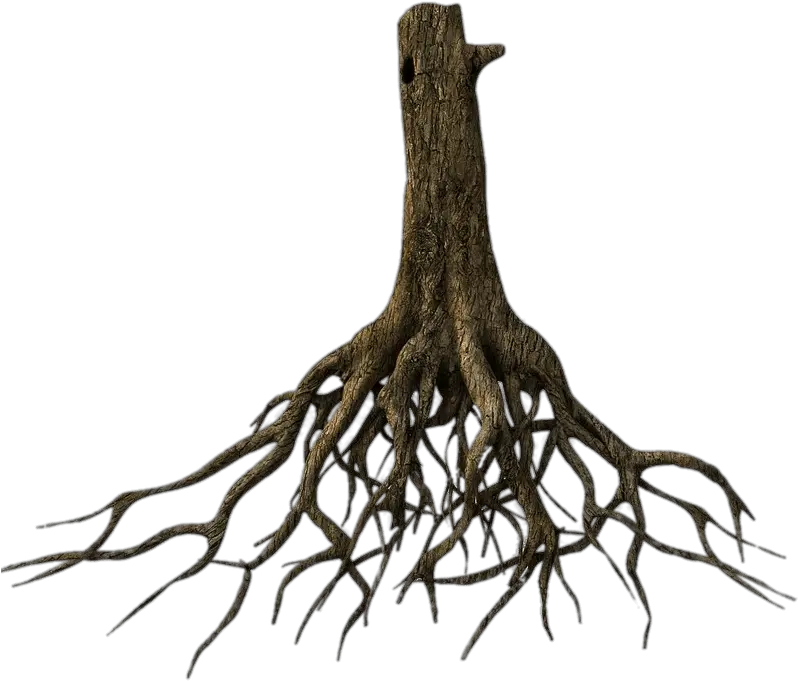 Tree Trunk And Roots Transparent Png Tree Roots Transparent Background Roots Png