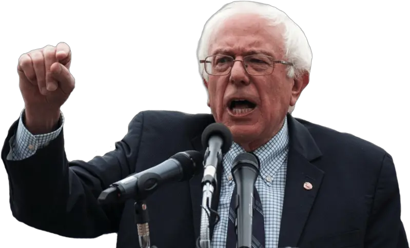 Png Bernie Bernie Sanders Transparent Png Bernie Png