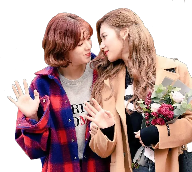 Jeongsa Render Transparent Shared By Hellosempiterno Sexual Attraction Png Twice Transparent