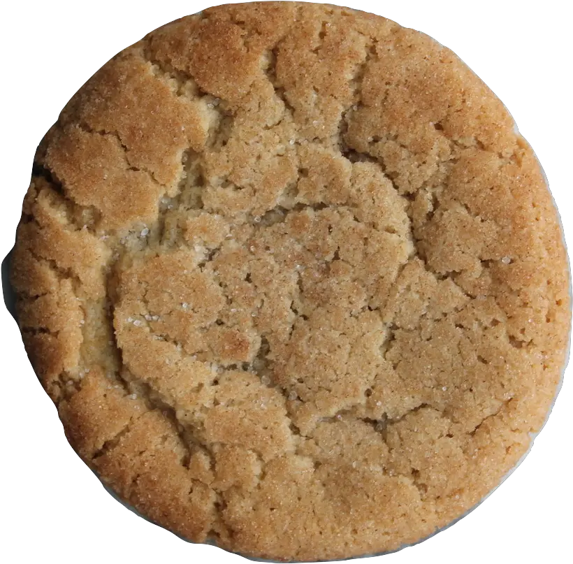 Salted Caramel Snickerdoodle Oatmeal Cookie Clipart Png Cookie Png