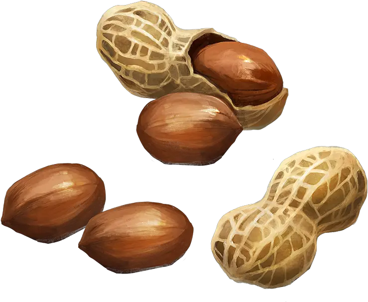Peanuts Portable Network Graphics Png Nut Png