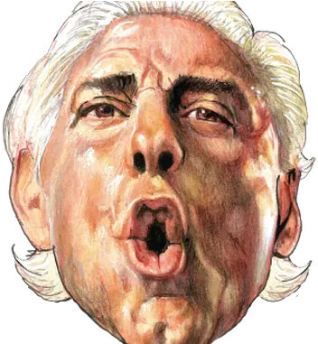 Home Roast Of Ric Flair Png Ric Flair Png