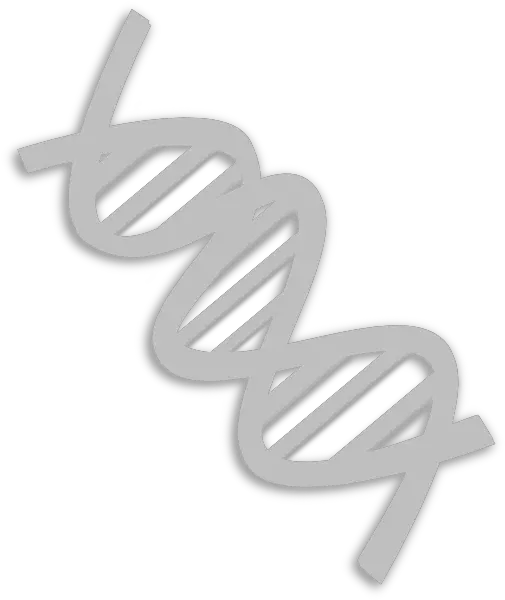 Dna Png Clip Arts For Web Clip Arts Free Png Backgrounds Dna White Clipart Dna Png