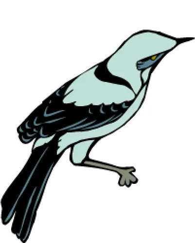 Arkansas Bird Us States Edition Countryreports Arkansas State Bird Transparent Png Bird Transparent