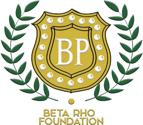 Beta Rho Foundation Scholarship Fund Stevie International Business Awards 2019 Png Omega Psi Phi Logo