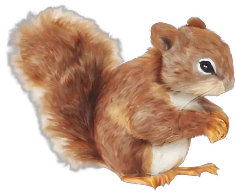 Squirrel Cartoon Clip Art Transparent Red Squirrel Cartoon Png Squirrel Transparent