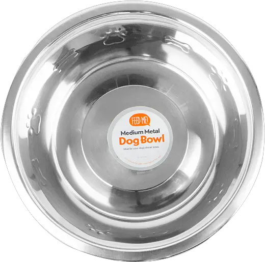 Download Medium Metal Dog Bowl Circle Png Dog Bowl Png