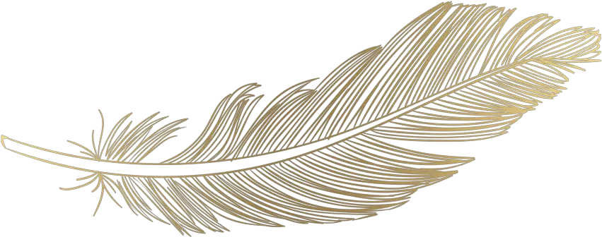 Feather Png Hd Wood Feather Transparent Background