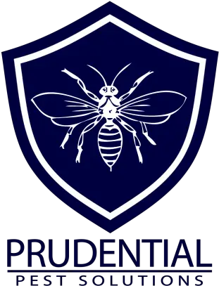 Prudential Pest Solutions Wildlifehelporg Dental Perfection Png Prudential Logo