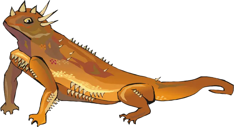 Horned Lizard Png Transparent Picture Texas Horned Lizard Clipart Lizard Transparent