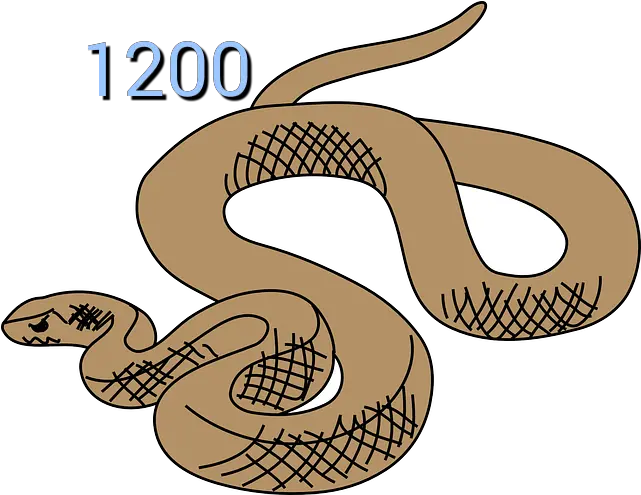 Brown Snake Clipart Information Report Animal Template Year 3 Png Snake Transparent Background