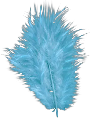 Download Purple Peacock Feather Clip Art Png Blue Feather Transparent Background Feather Drawing Png
